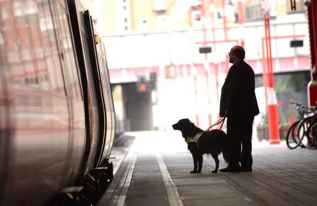 Guide Dog owner at train station.